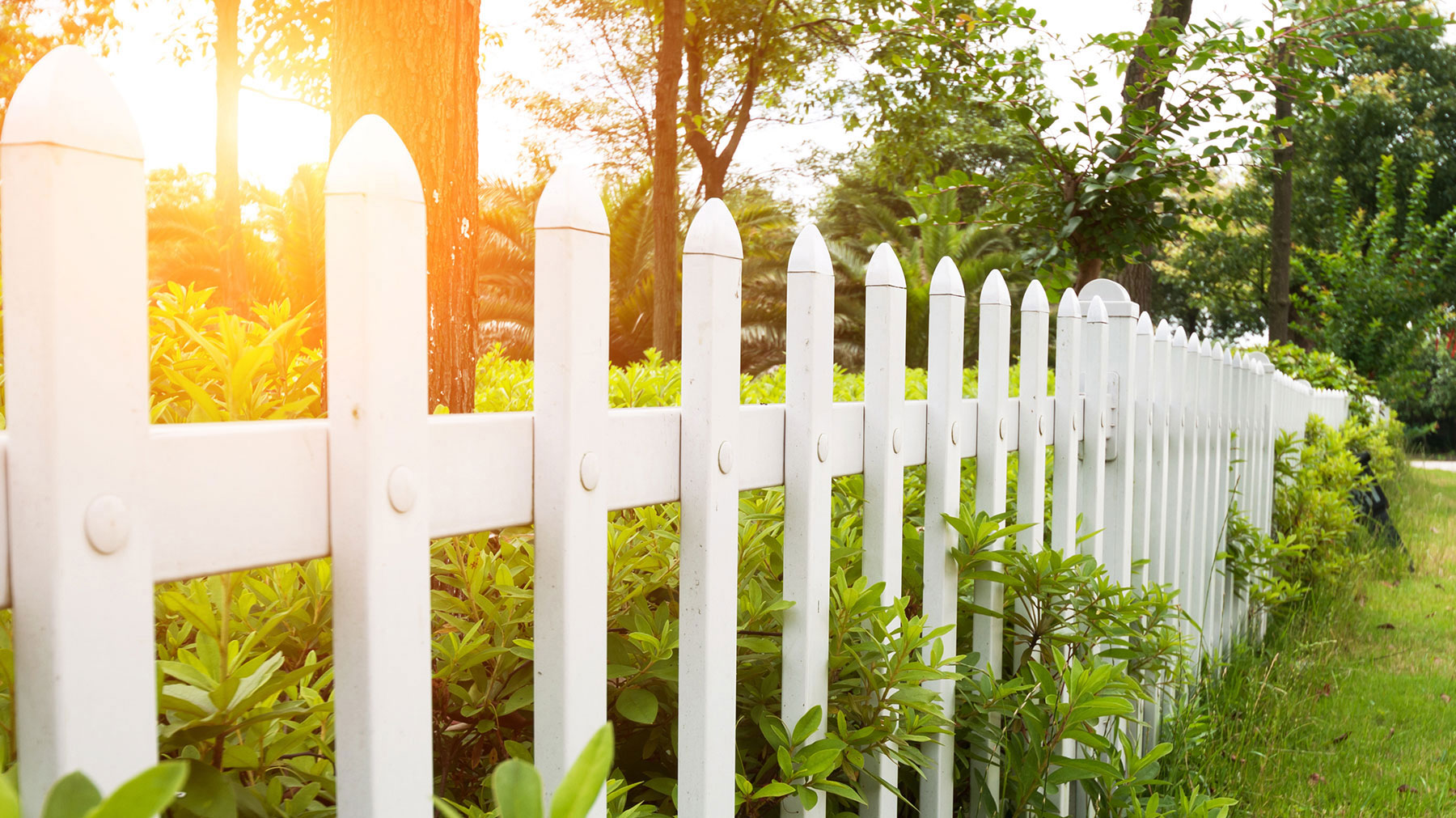 Forest Creek III HOA | TownSq Community App | Frequently Asked Questions